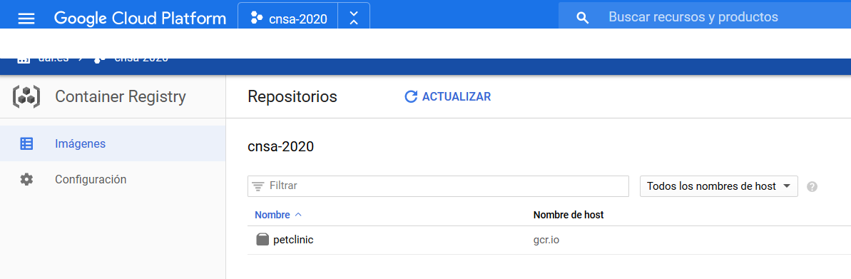 container registry pushed petclinic