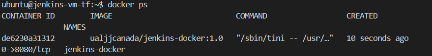 docker ps jenkins