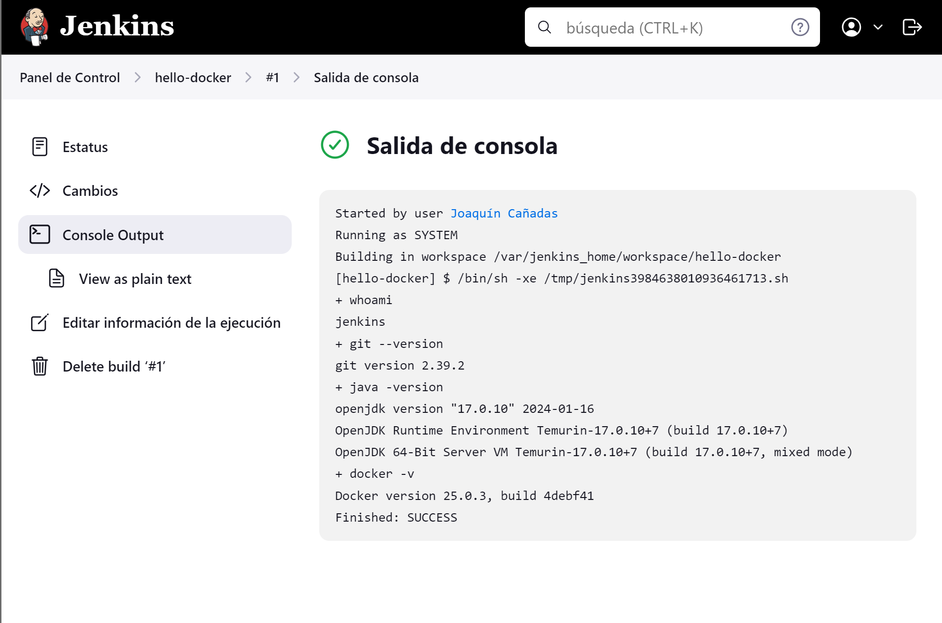 jenkins new hello docker console success 2024